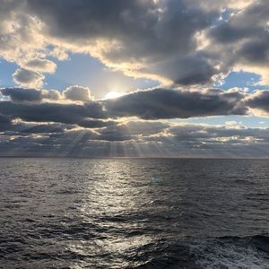 Meet your Posher, Shirley